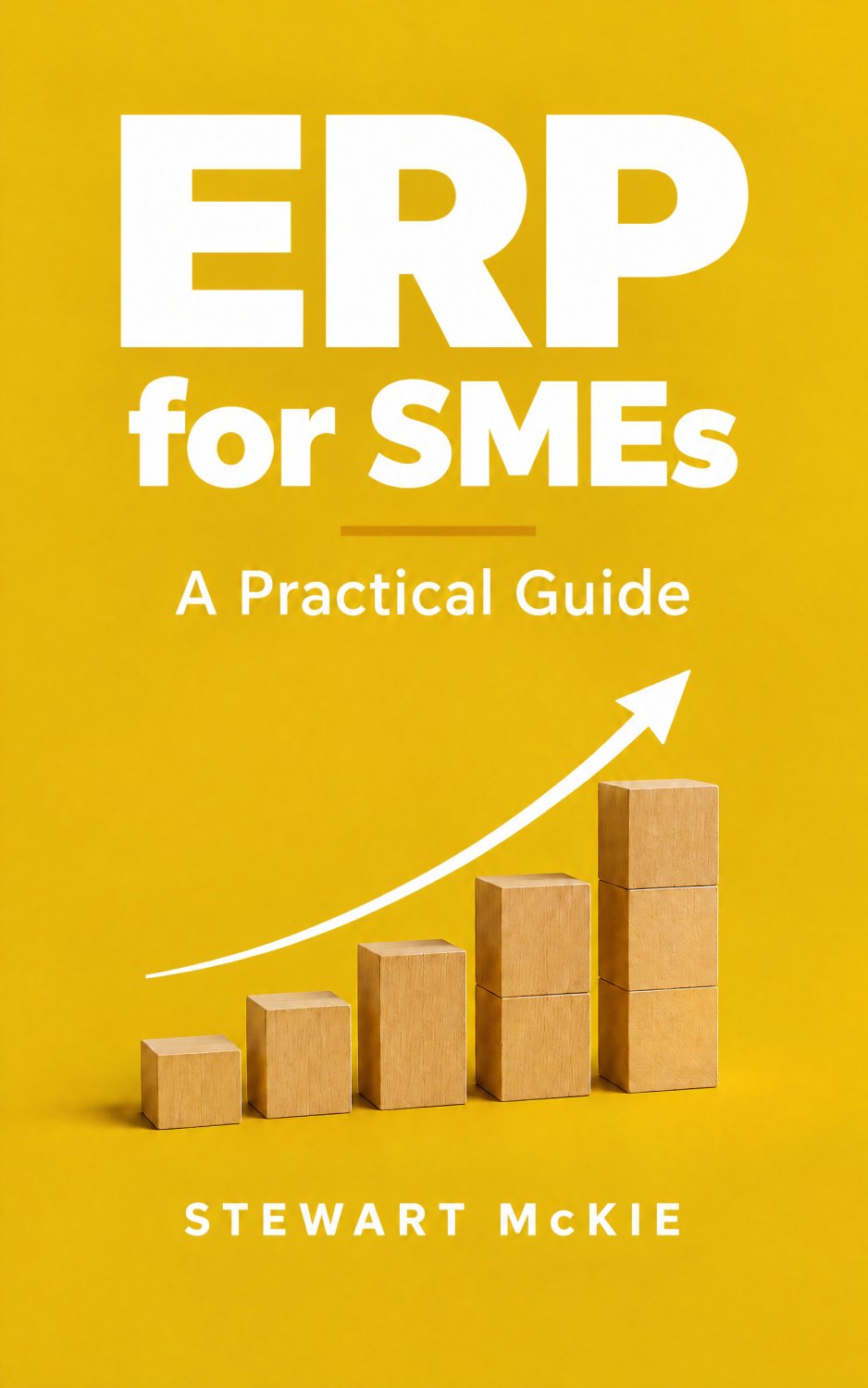 Cover of ERP for SMEs